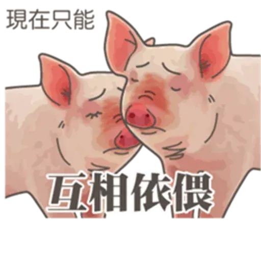 pig - Sticker 27