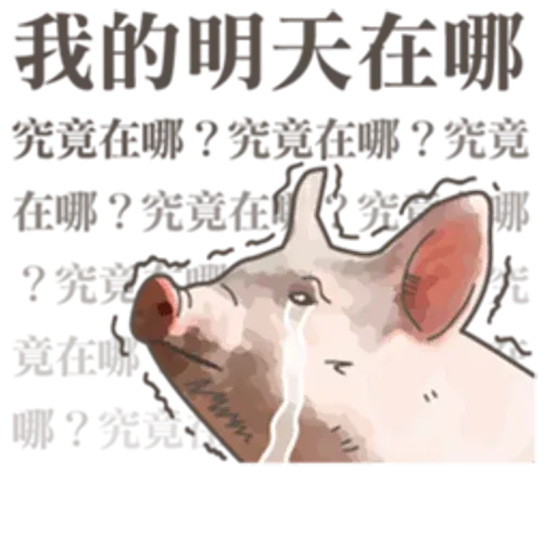 pig - Sticker 20