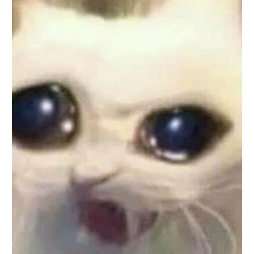 Cattos2 - Sticker 18