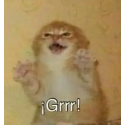 Cattos2 - Sticker 19
