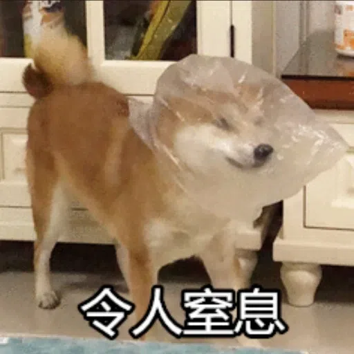 Dogs - Sticker 10
