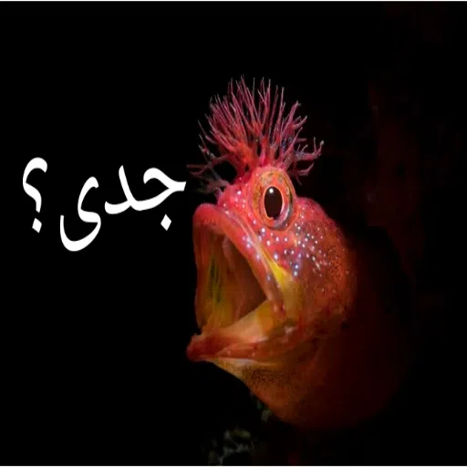 بورس - Sticker 14