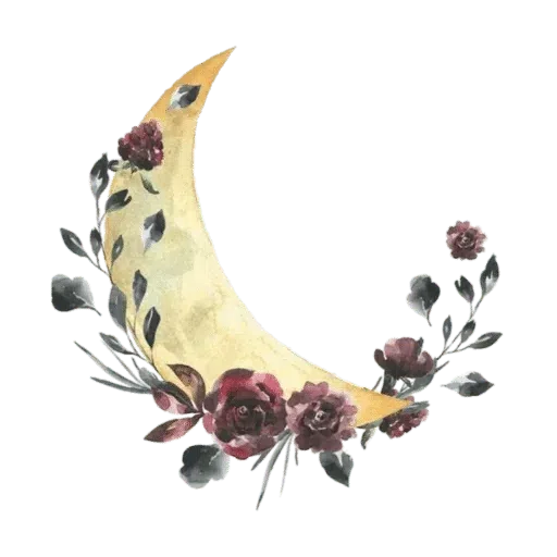 wisdom_droplets Good Night - Sticker 21
