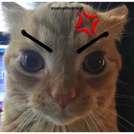 Cattos3 - Sticker 19