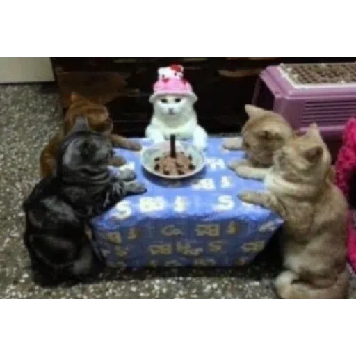 Cattos3 - Sticker 15