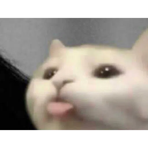Cattos3 - Sticker 11