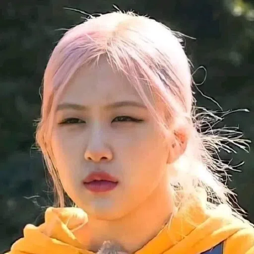 BlackPinkuuuuu - Sticker 24