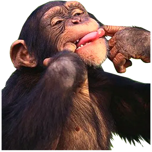 Respostas - Sticker 18