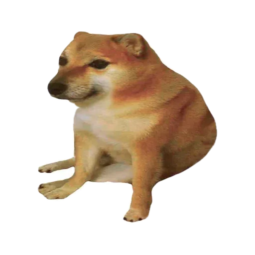 doge - Sticker 25