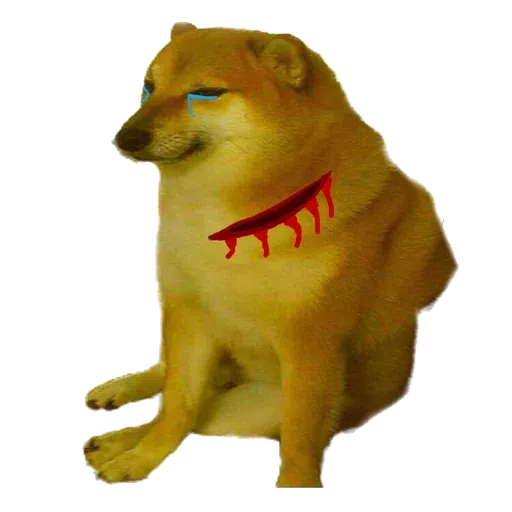 doge - Sticker 12