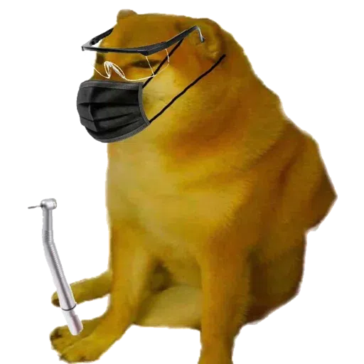doge - Sticker 9