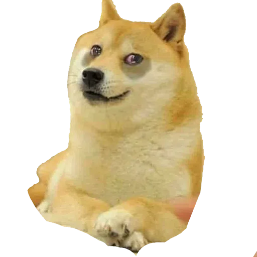 doge - Sticker 16