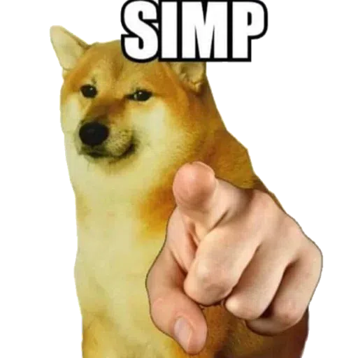 doge - Sticker 17