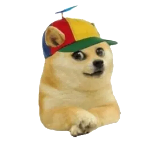 doge - Sticker 28