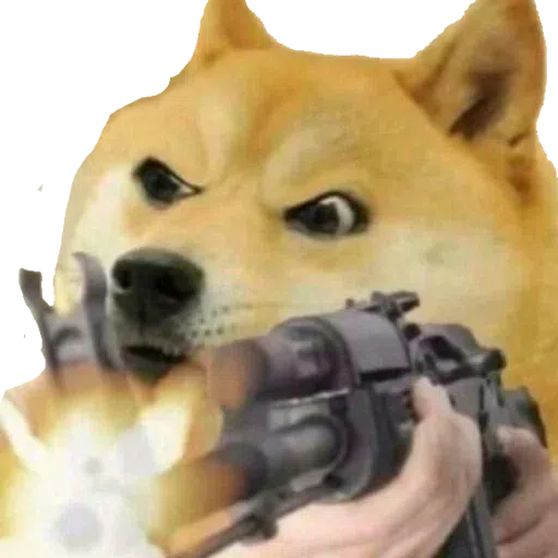 doge - Sticker 21