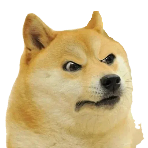 doge - Sticker 14