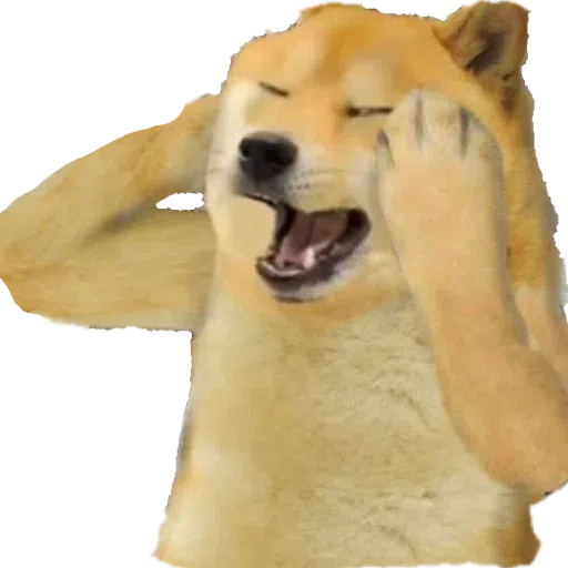 doge - Sticker 13
