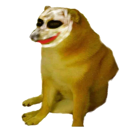 doge - Sticker 20