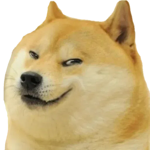 doge - Sticker 30