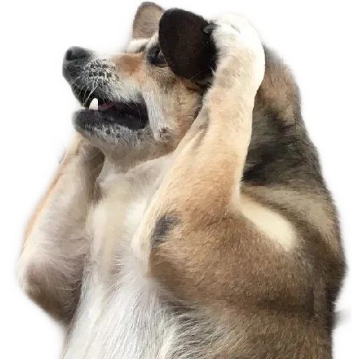 Stickers 1 - Sticker 10