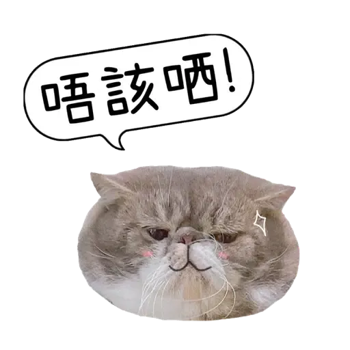 O總的內心世界 - Sticker 14