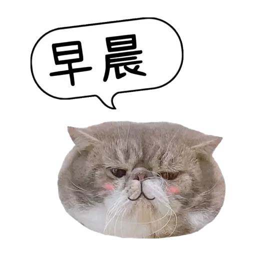 O總的內心世界 - Sticker 11