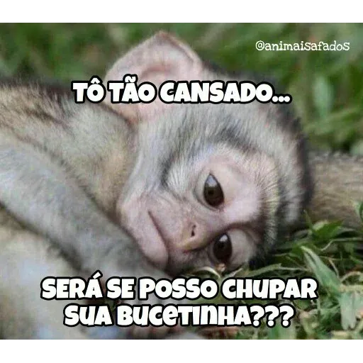 Animais Safados 3 - Sticker 19