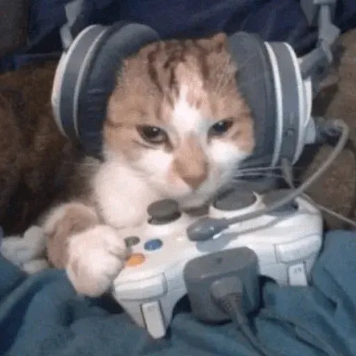 funne cat 2 - Sticker 15