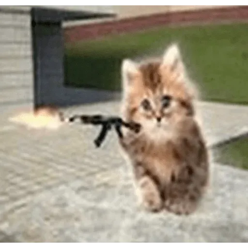 funne cat 2 - Sticker 10