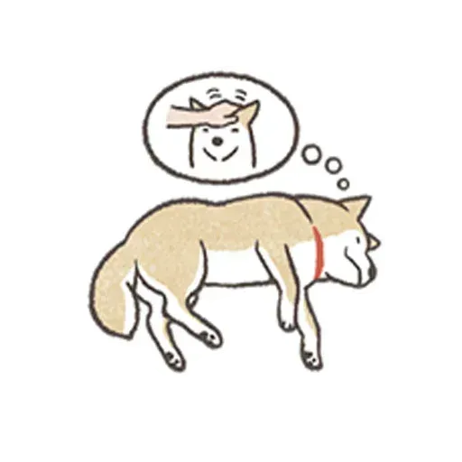 Shiba 1 - Sticker 27