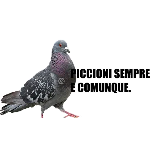 File 1 - Sticker 22