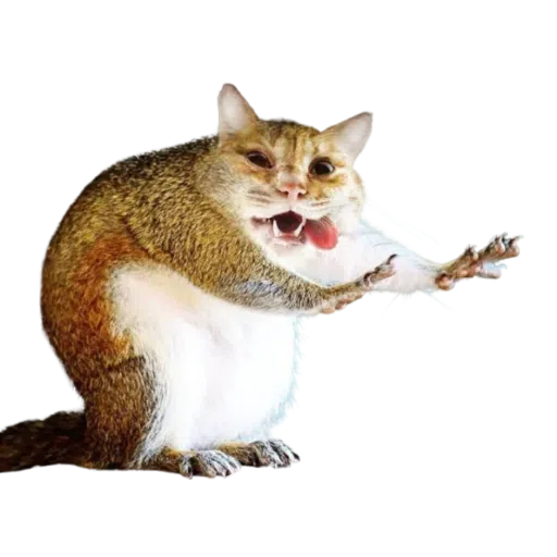 Cats - Sticker 12