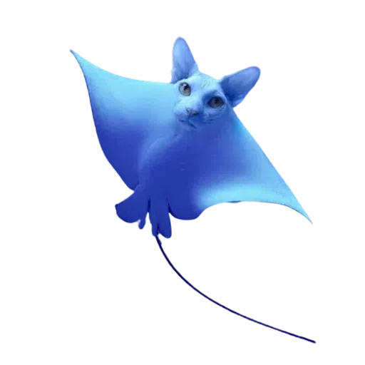 Cats - Sticker 11