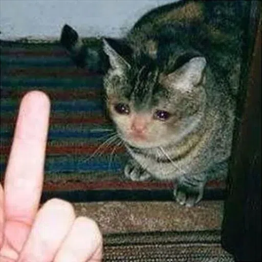 Meme - Sticker 14