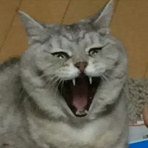 Meme - Sticker 11