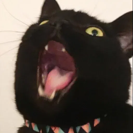 Meme - Sticker 9