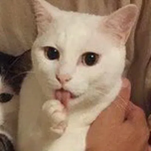 Meme - Sticker 20