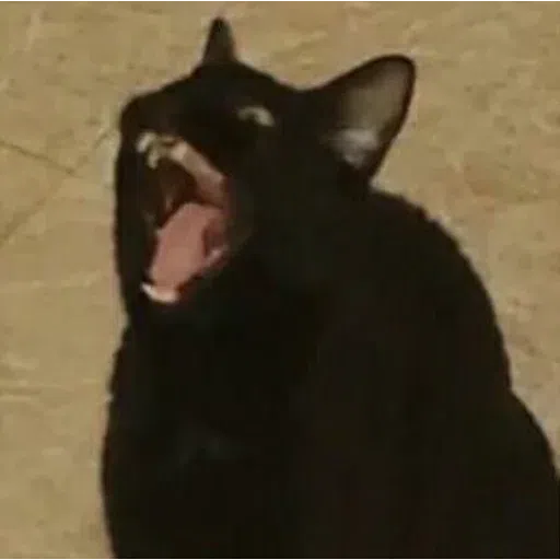 Meme - Sticker 23