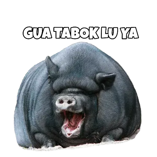 Random12 - Sticker 17