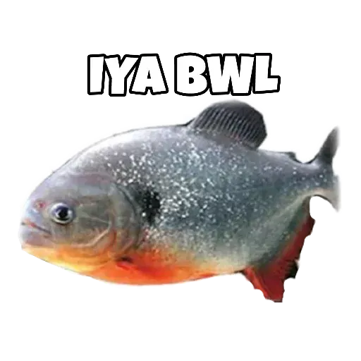 Random12 - Sticker 22