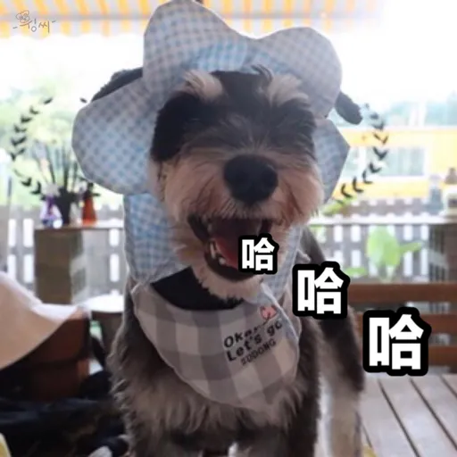 朴志訓@1 - Sticker 17
