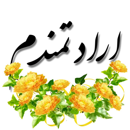 Fy - Sticker 15