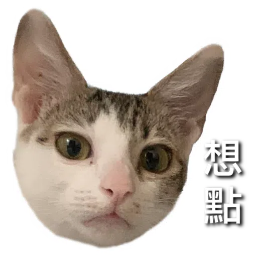 Catssss on board - Sticker 9