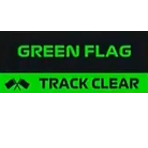 F1 - Sticker 17