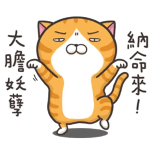 Cat - Sticker 9