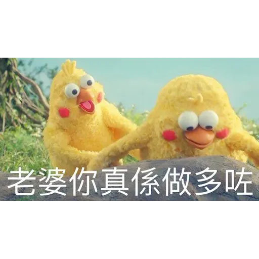 on9鸚鵡兄弟2 - Sticker 22