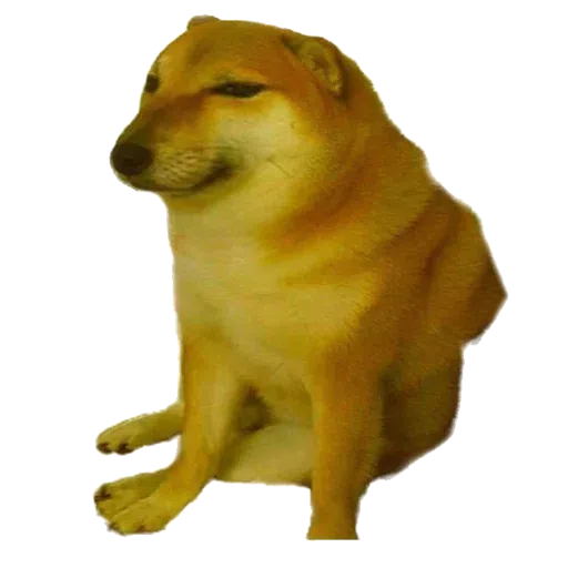 doge 4 - Sticker 14