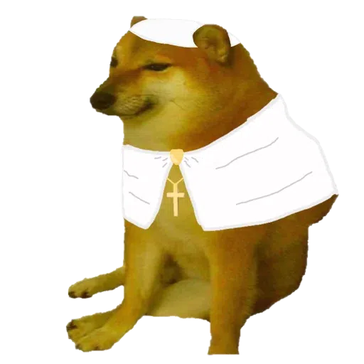 doge 4 - Sticker 15