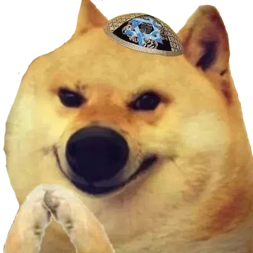 doge 4 - Sticker 10
