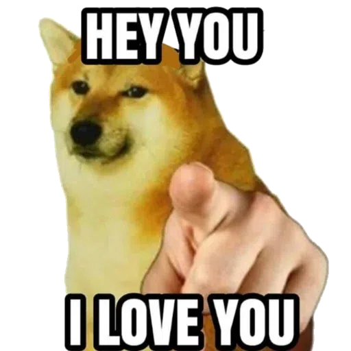 doge 4 - Sticker 12